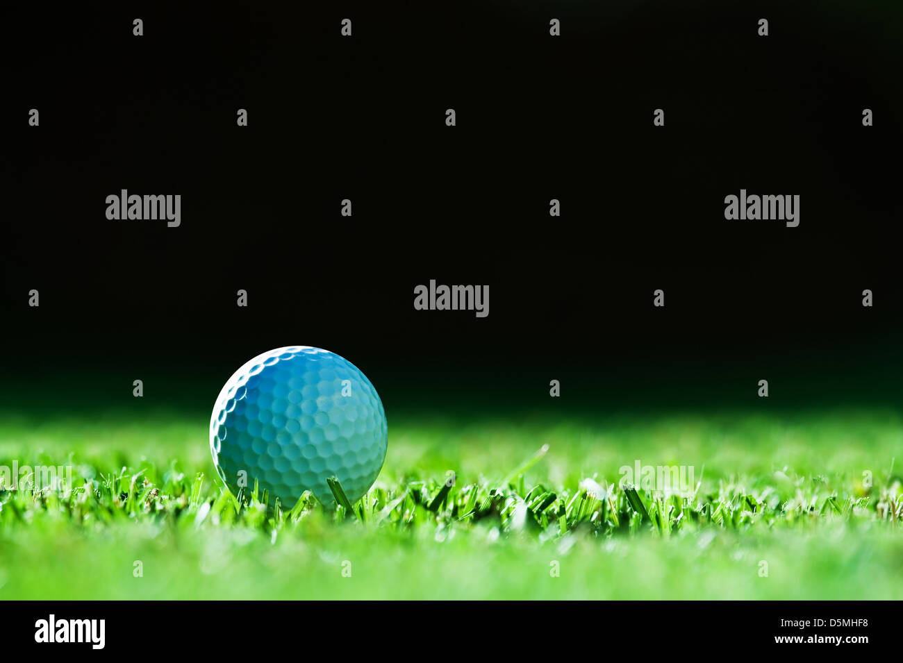 golf ball on green grass Stock Photo Alamy