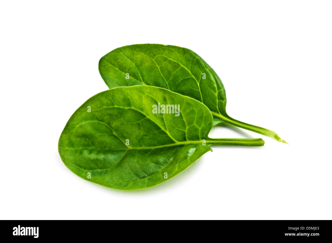 spinach isolated on white background Stock Photo - Alamy
