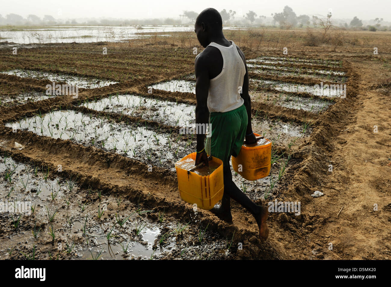 Niger drought farming hi-res stock photography and images - Alamy