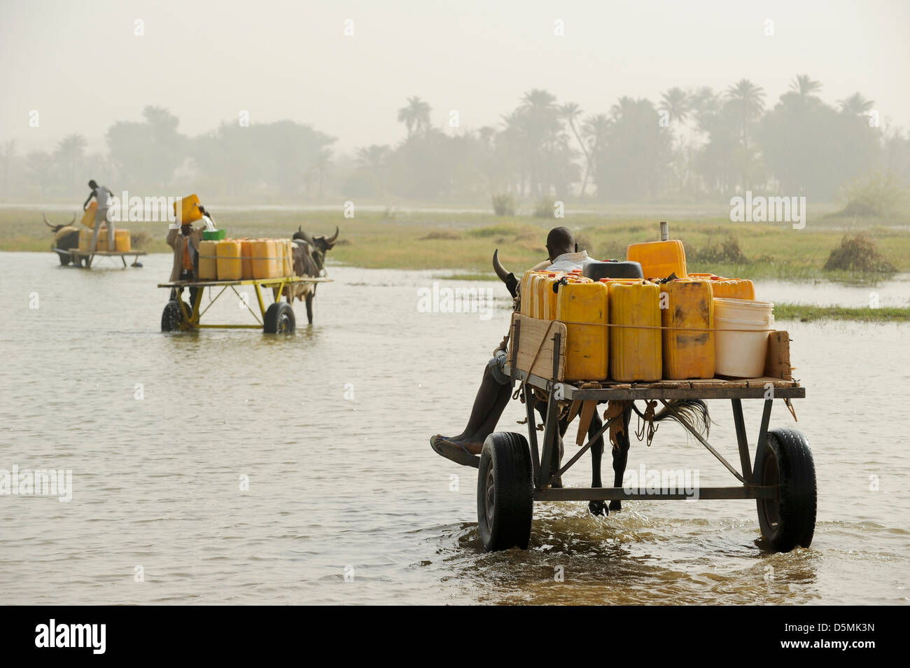 Africa NIGER Zinder, village Zongon Soumaguela, water transport 