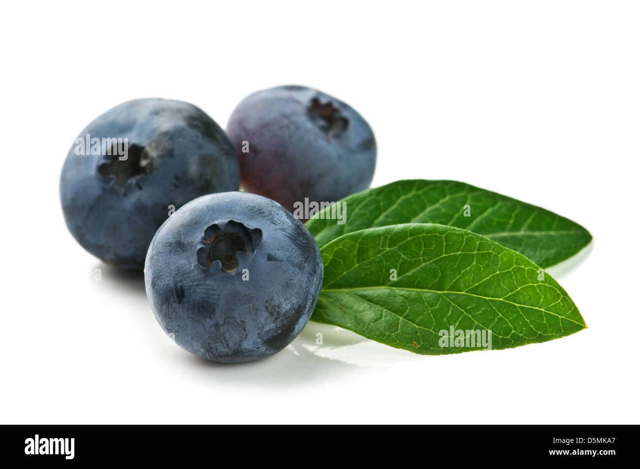 blueberry isolated on white Stock Photo