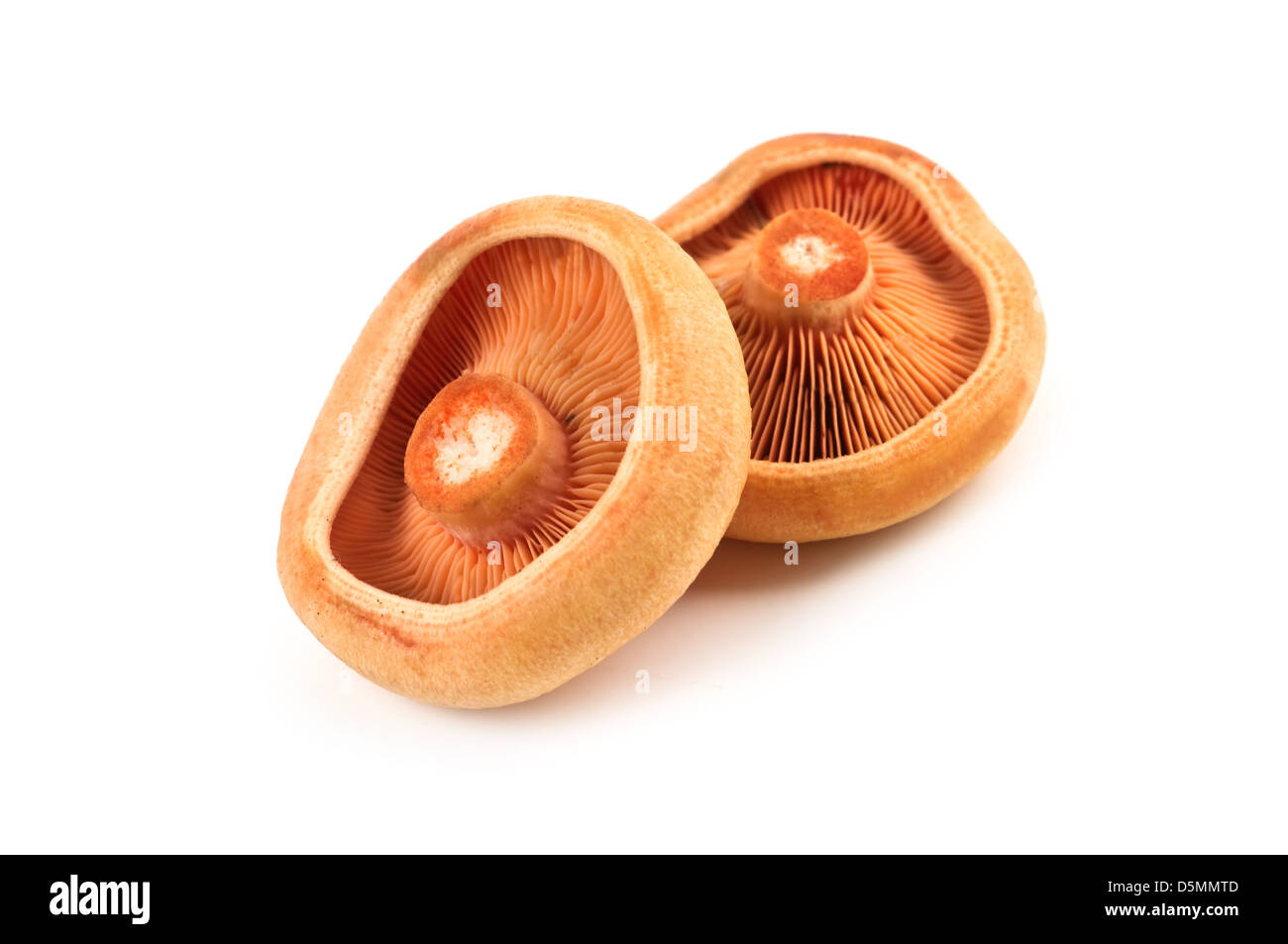 red cap mushrooms isolated on white Stock Photo
