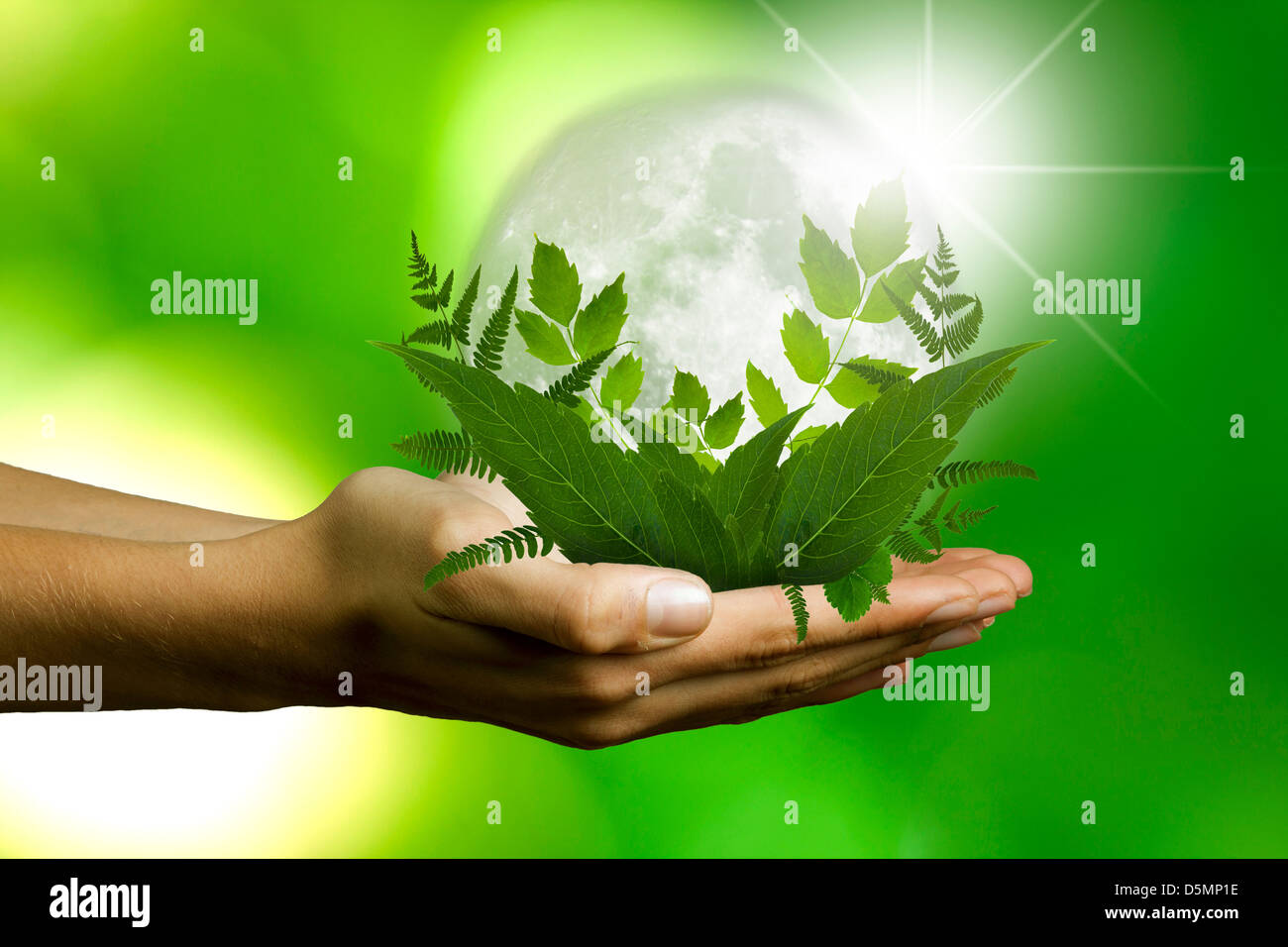 Ecology plant symbol icon hi-res stock photography and images - Alamy