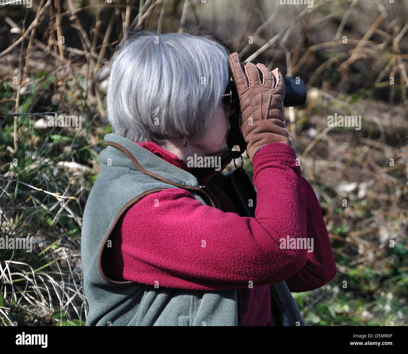 mature woman looking through binoculars at wildlife in Scotland, UK Stock Photo
