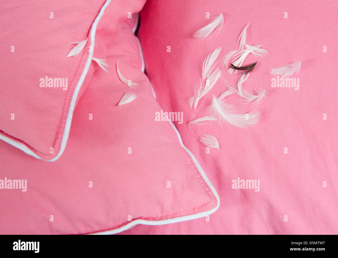 feathers leaking out of pink cotton pillow Stock Photo