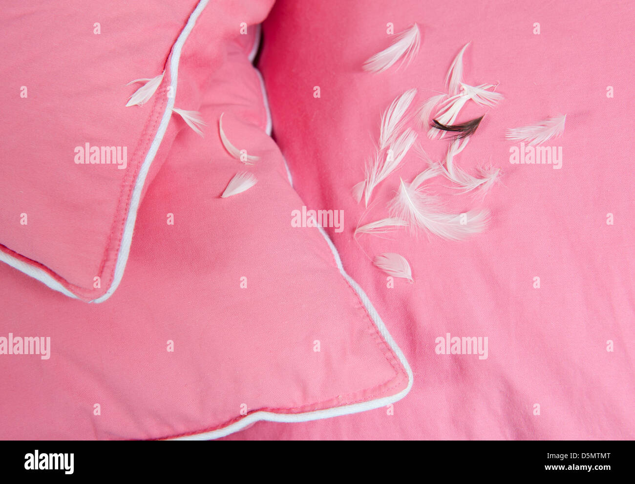 Losing feathers hires stock photography and images Alamy