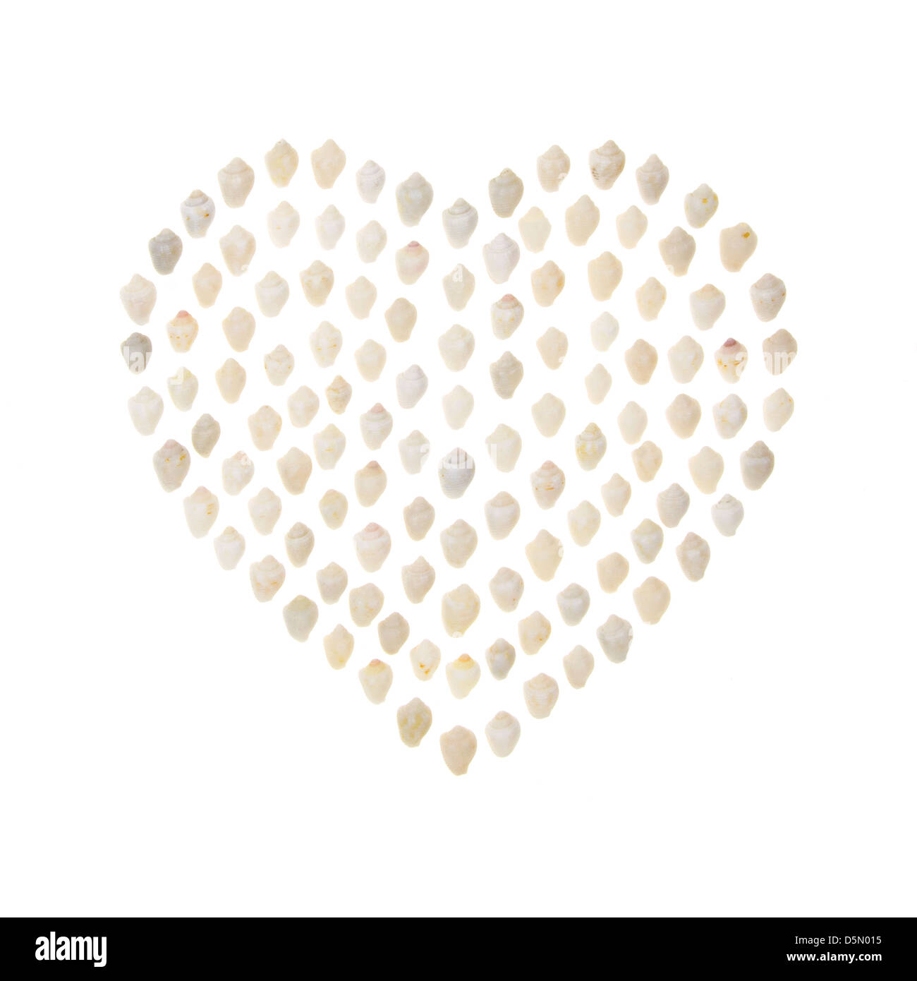 A modern take on the traditional Sailor's Valentine with Common Dove Snail shells neatly arranged on a white background. Stock Photo