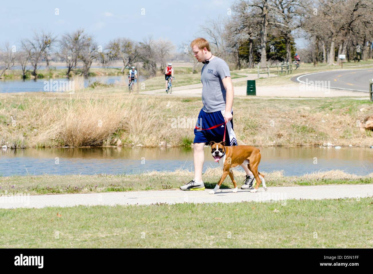 A young redheaded man walks his boxer dog on the trails next to the