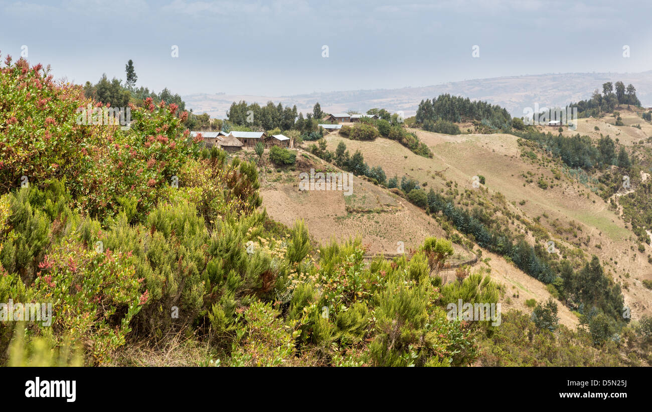 The hilly landscapes of Ethiopia near Wonchi creator lake area Stock ...