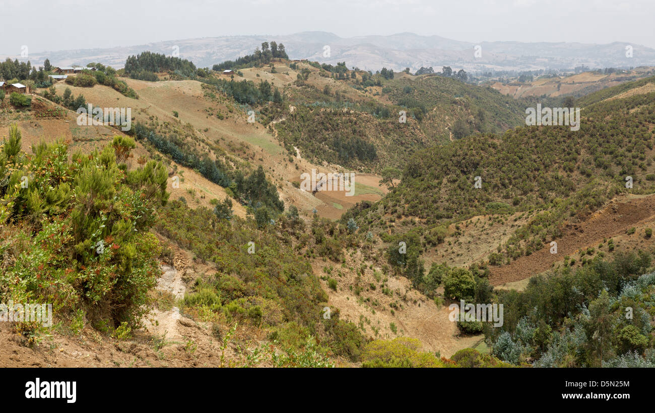 The hilly landscapes of Ethiopia near Wonchi creator lake area Stock ...