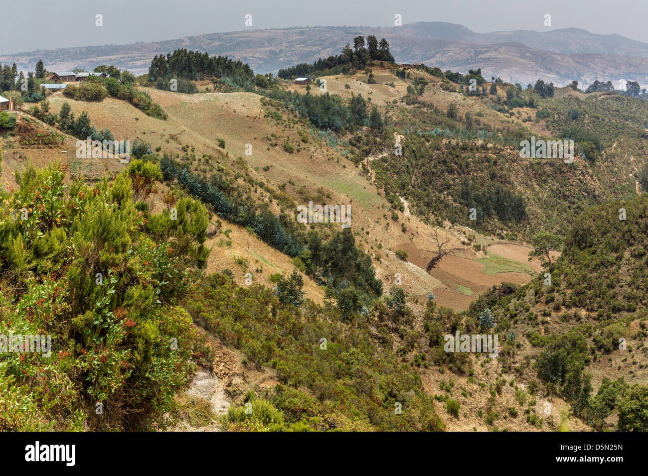 The hilly landscapes of Ethiopia near Wonchi creator lake area Stock ...