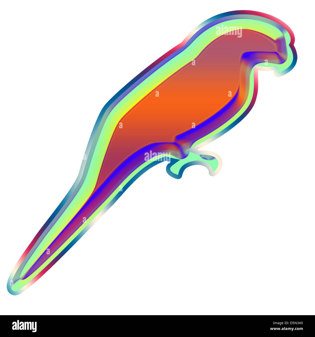 long tailed parrot a colorful parrot feathers Stock Photo Alamy long tailed parrot a colorful parrot feathers Stock Photo Alamy