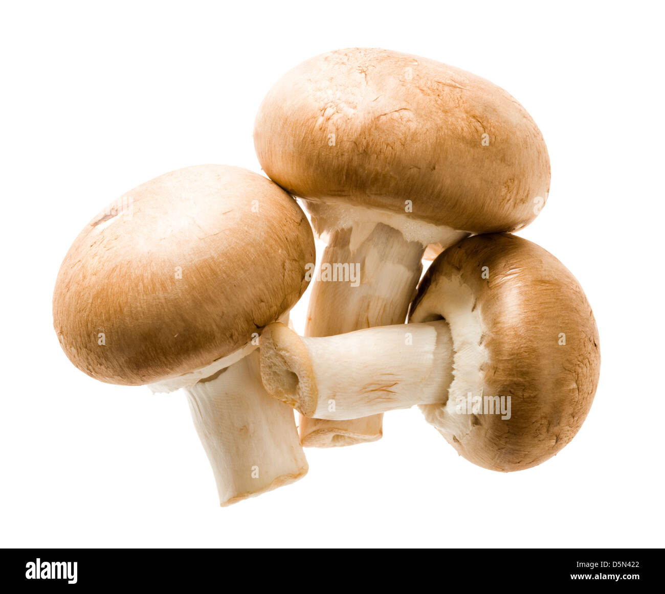 Chestnut mushrooms. Stock Photo
