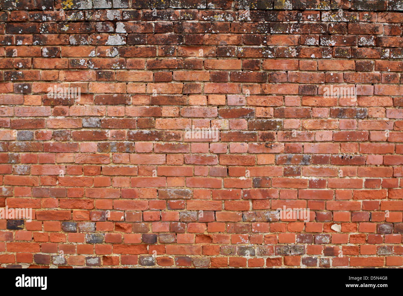 wALL DETAIL STRAIGHT ON Stock Photo Alamy