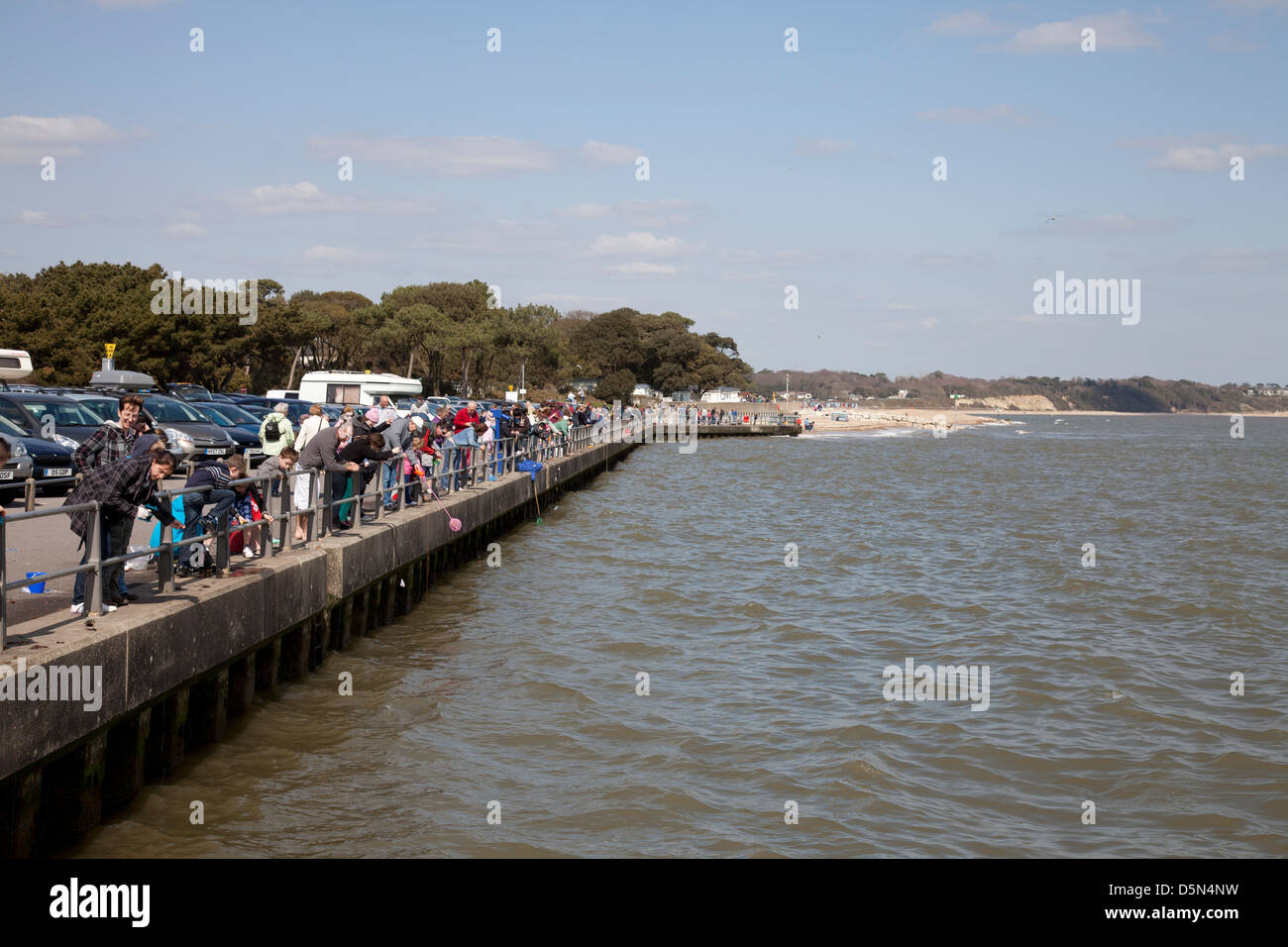 Holidaymakers crab fishing off Mudeford Quay, Dorset, England Stock