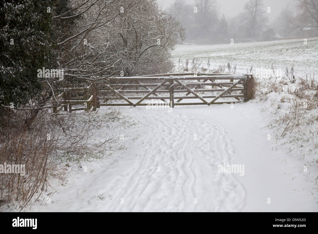 5-Bar gate at entrance to field in winter, with snow falling, Faringdon Stock Photo