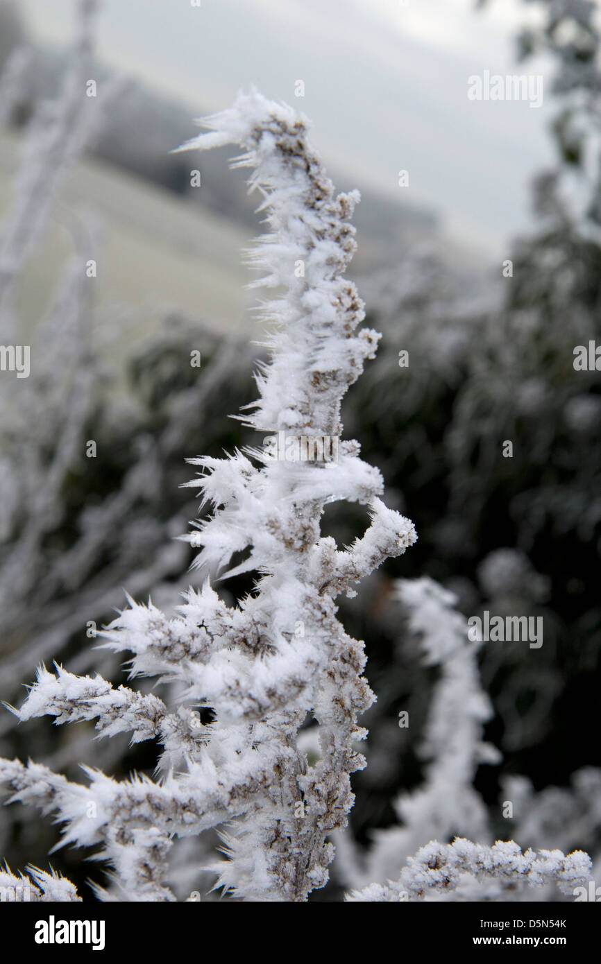 Hoarfrost: The Science Behind Frost on Steroids
