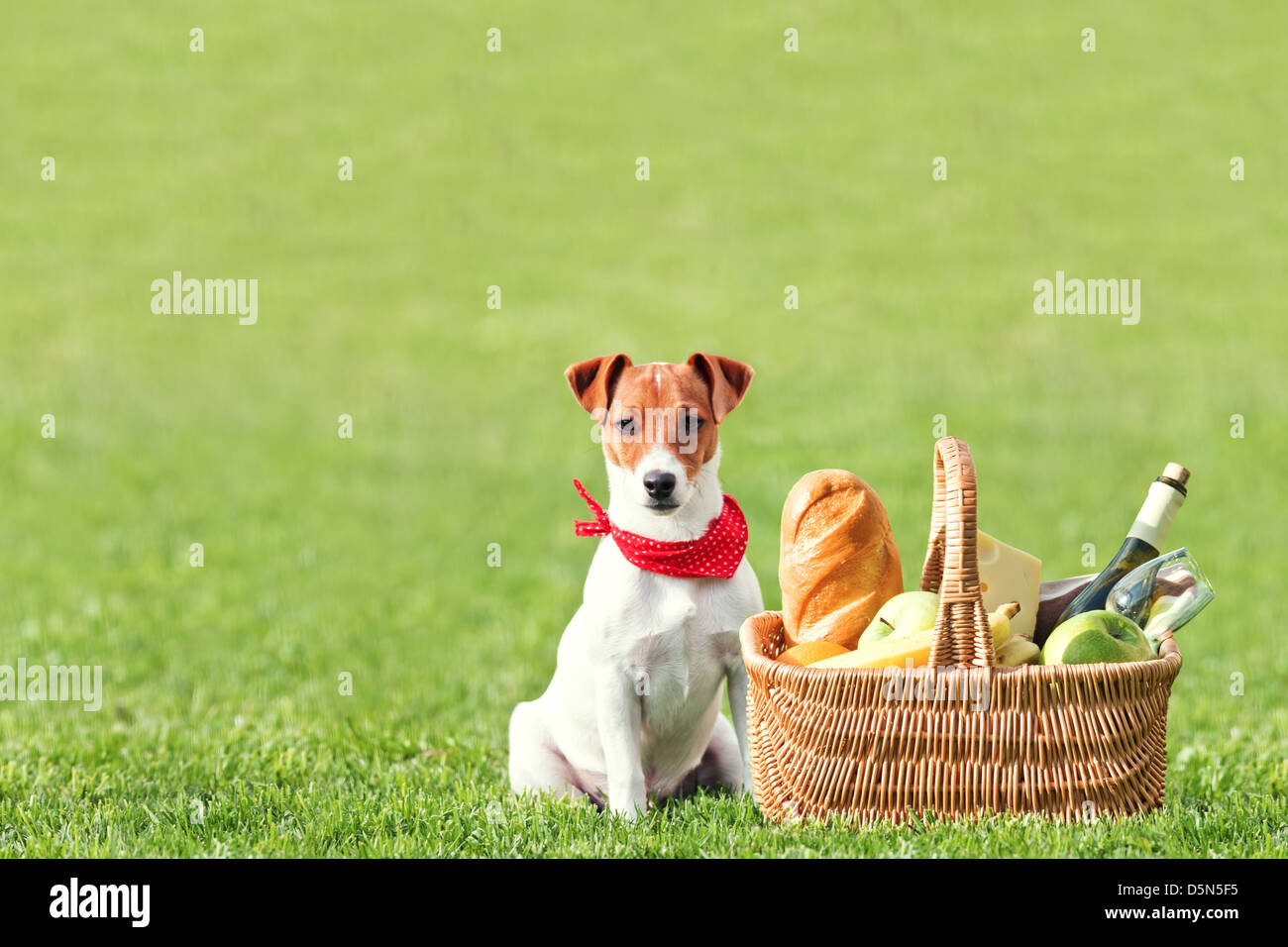 picnic basket on green lawn Stock Photo