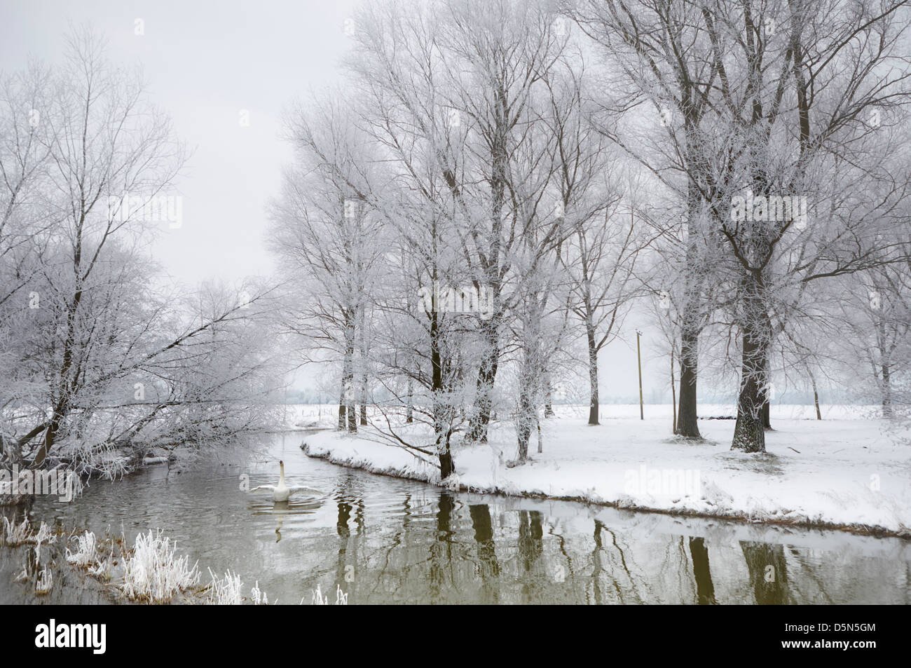 The Waveney river on the Norfolk/Suffolk border in winter Stock Photo