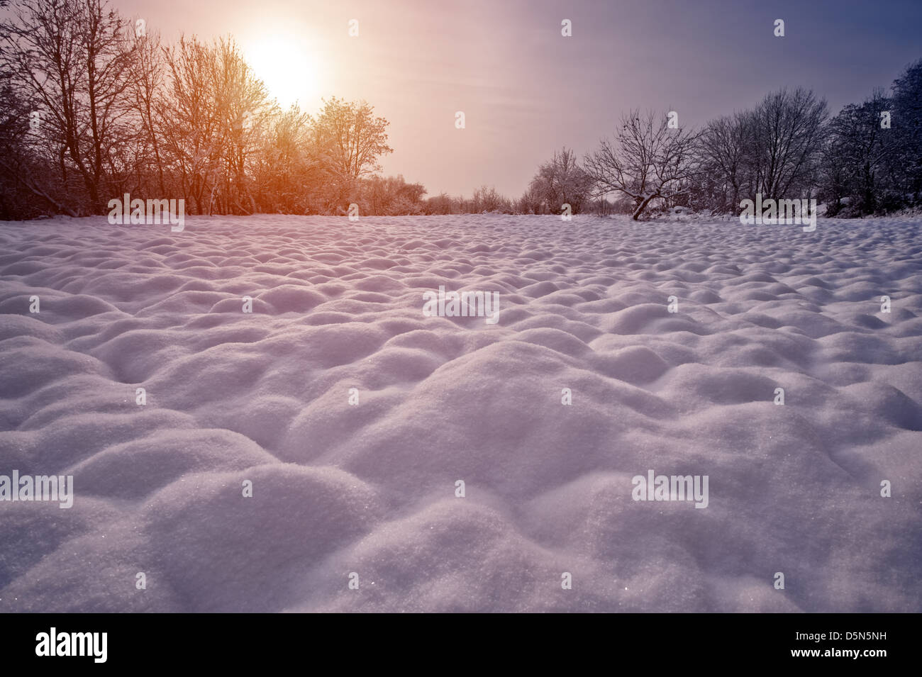 snowy hillock in morning field Stock Photo