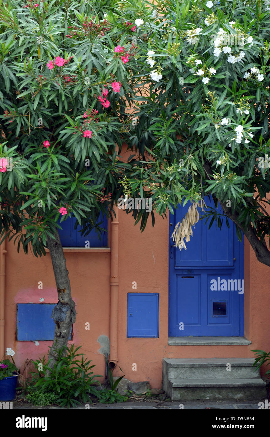 The entrance of a house in Collioure at the french mediterranean coast