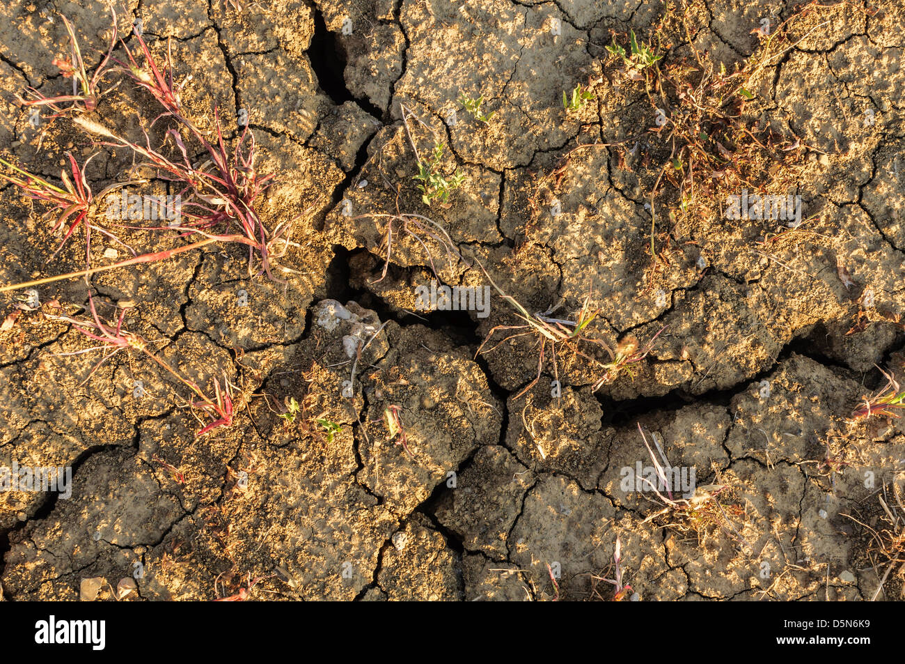 Infertile Soil High Resolution Stock Photography and Images Alamy