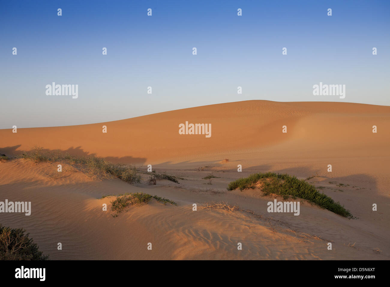 Scrub terrain hires stock photography and images Alamy