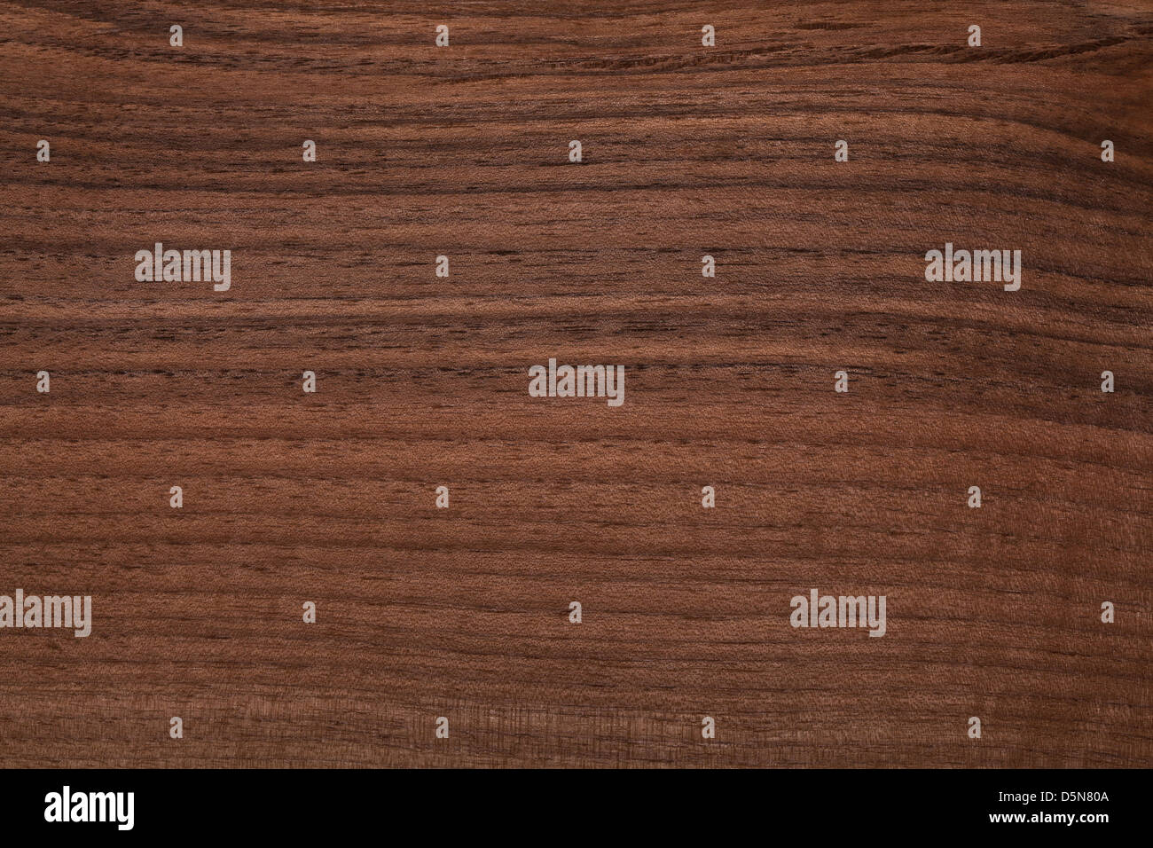 closeup image of natural wood texture Stock Photo - Alamy
