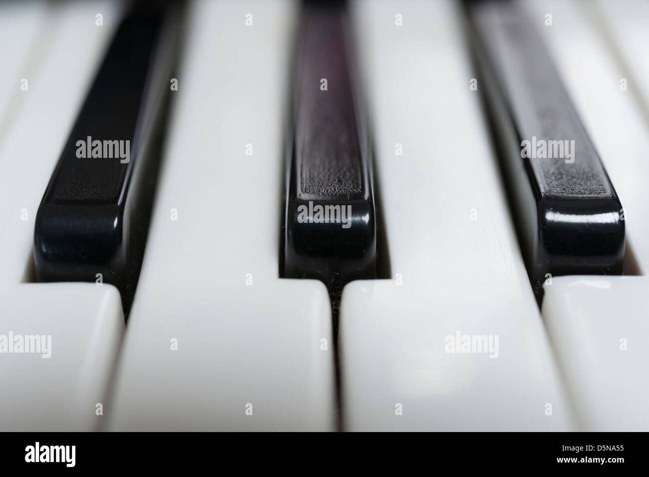 Close up of a piano accordion keyboard with selective focus Stock Photo Alamy