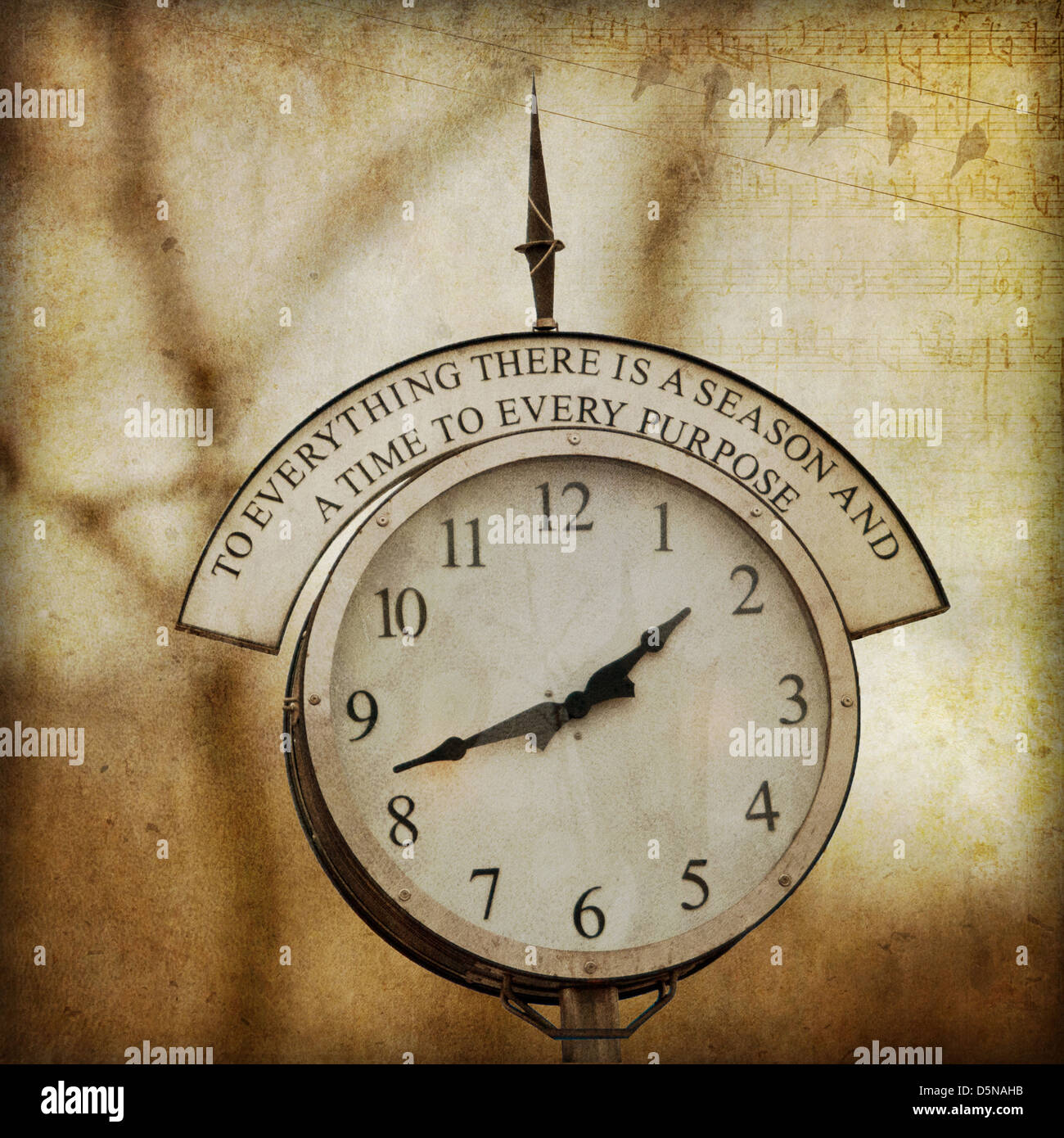 1960s birds hires stock photography and images Alamy