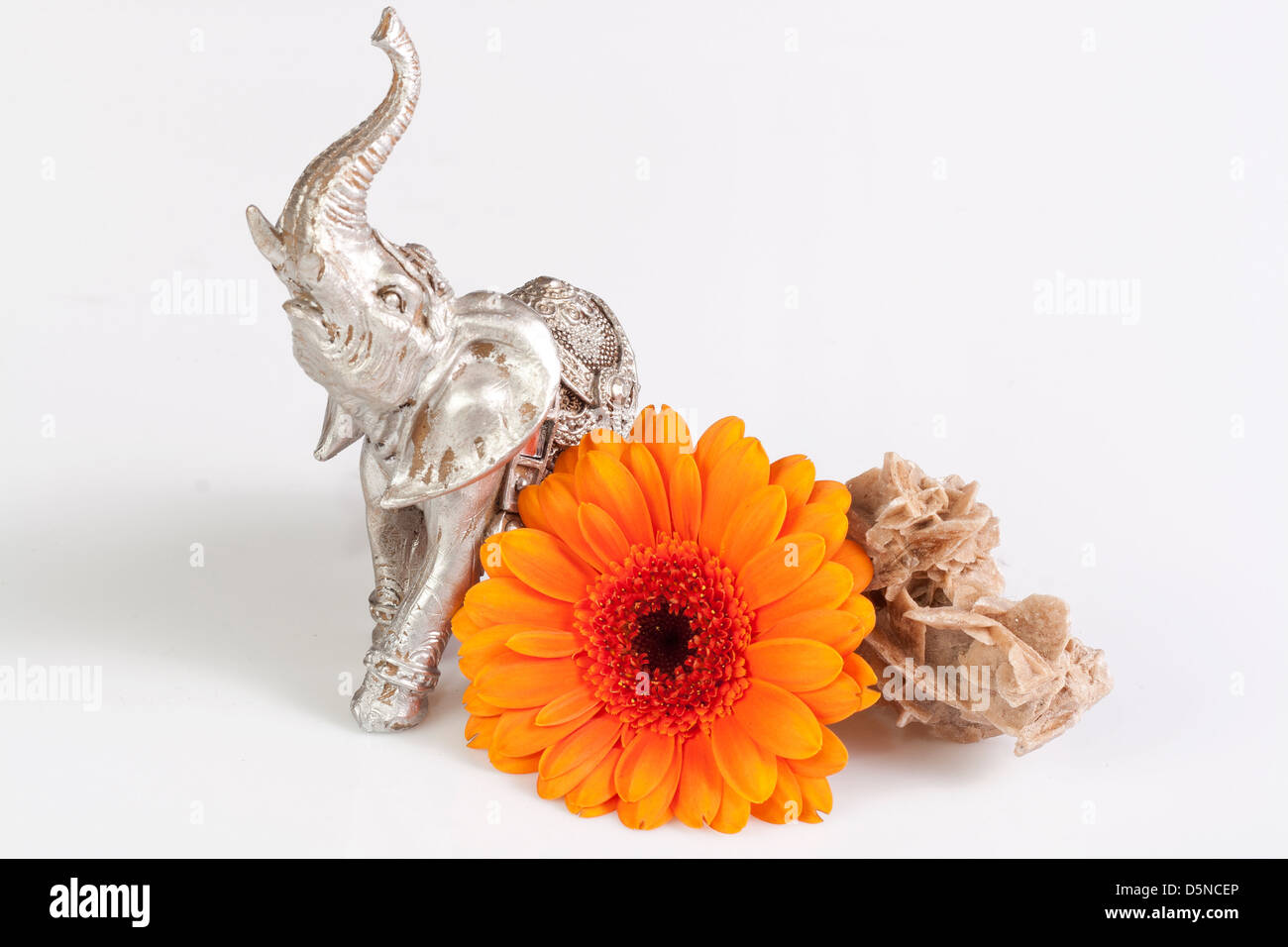 Gerbera daisy, desert rose and small elephant. Stock Photo