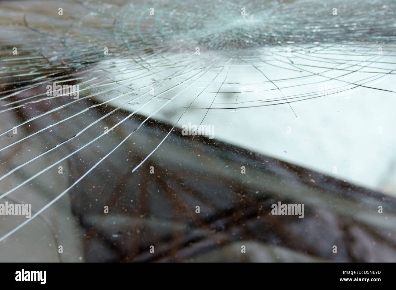 Smashed windshield with spiderweb-pattern cracks. Stock Photo