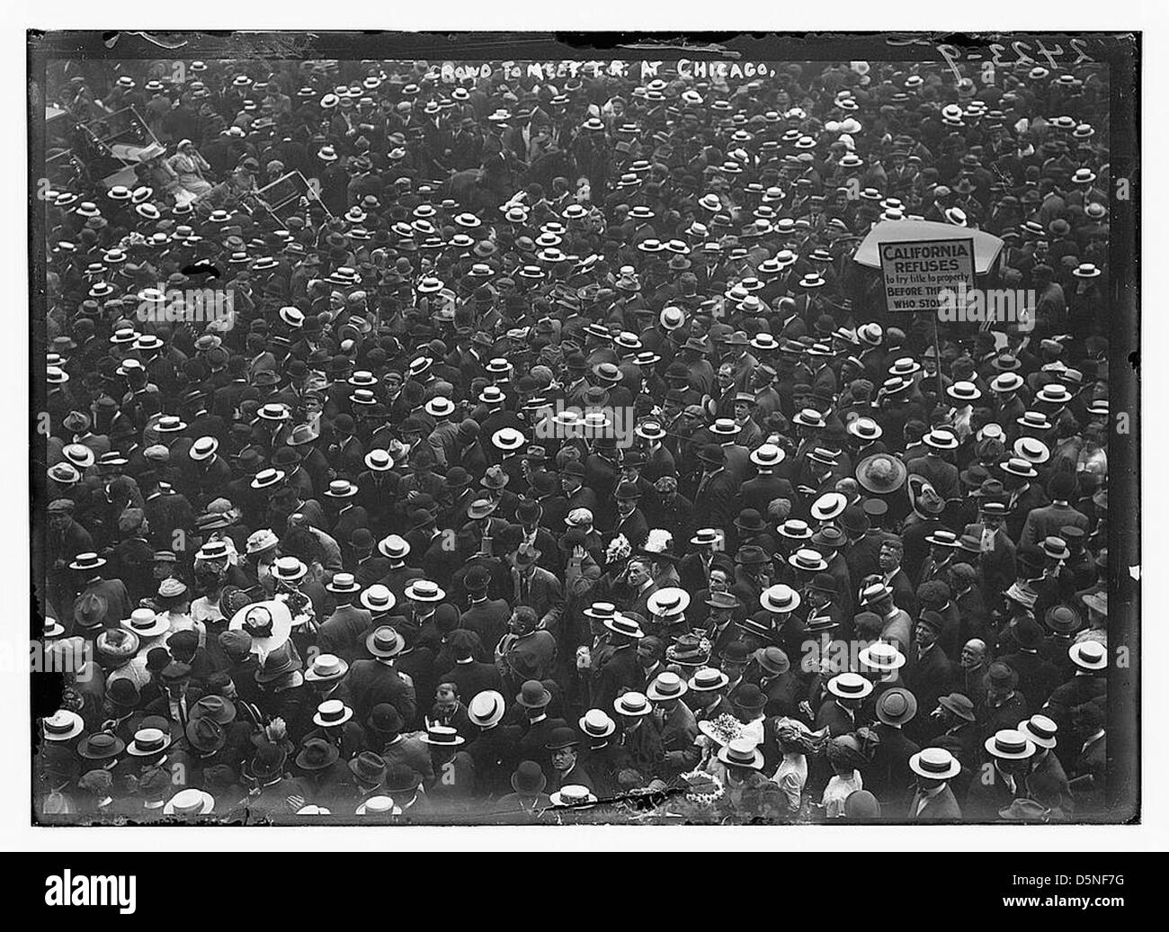This photograph shows a large crowd gathering in Chicago to meet Theodore Roosevelt, the 26th President of the United States. The photo captures the public's enthusiasm for Roosevelt and the presence of vintage automobiles in the scene. Stock Photo