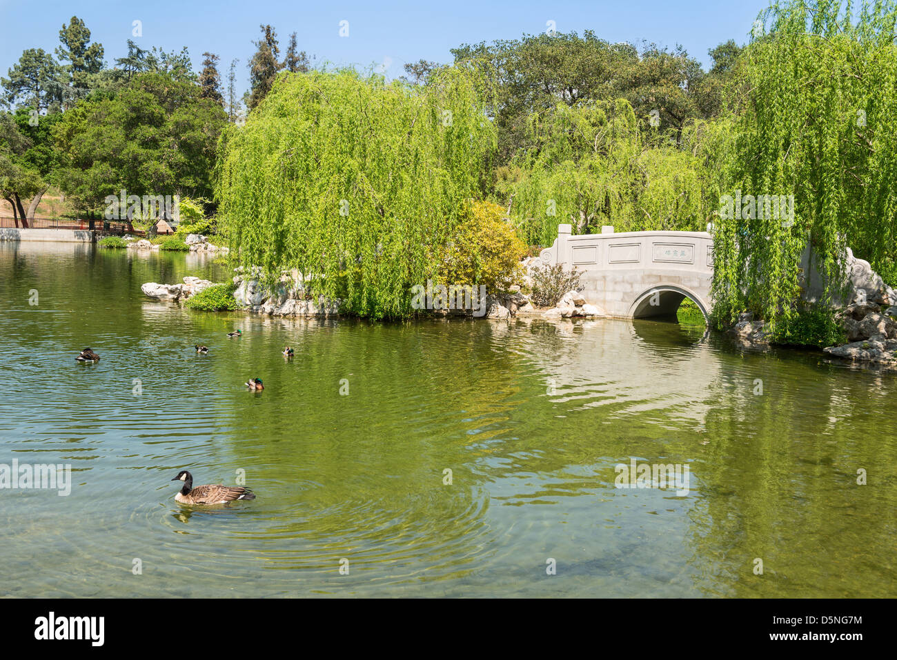 Chinese Garden at the Huntington Library. Stock Photo