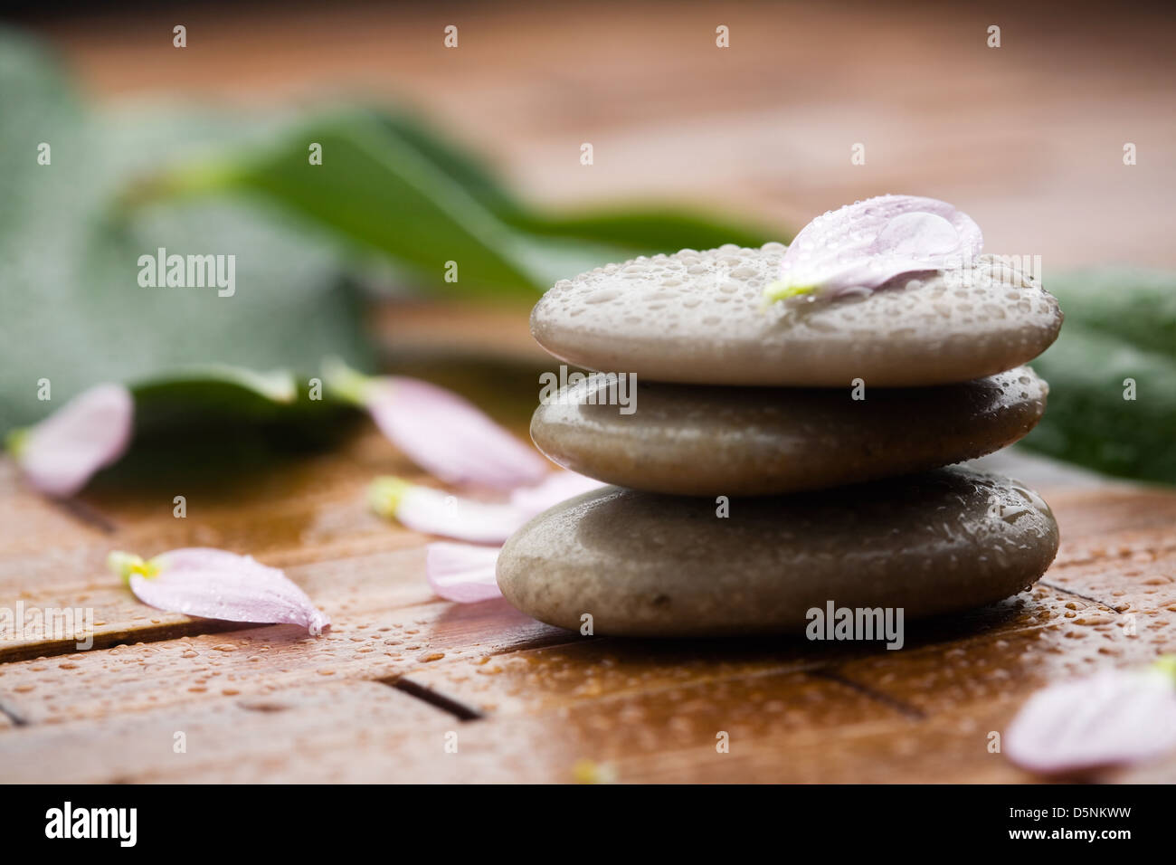 Stones with flower petals and water drops Stock Photo - Alamy