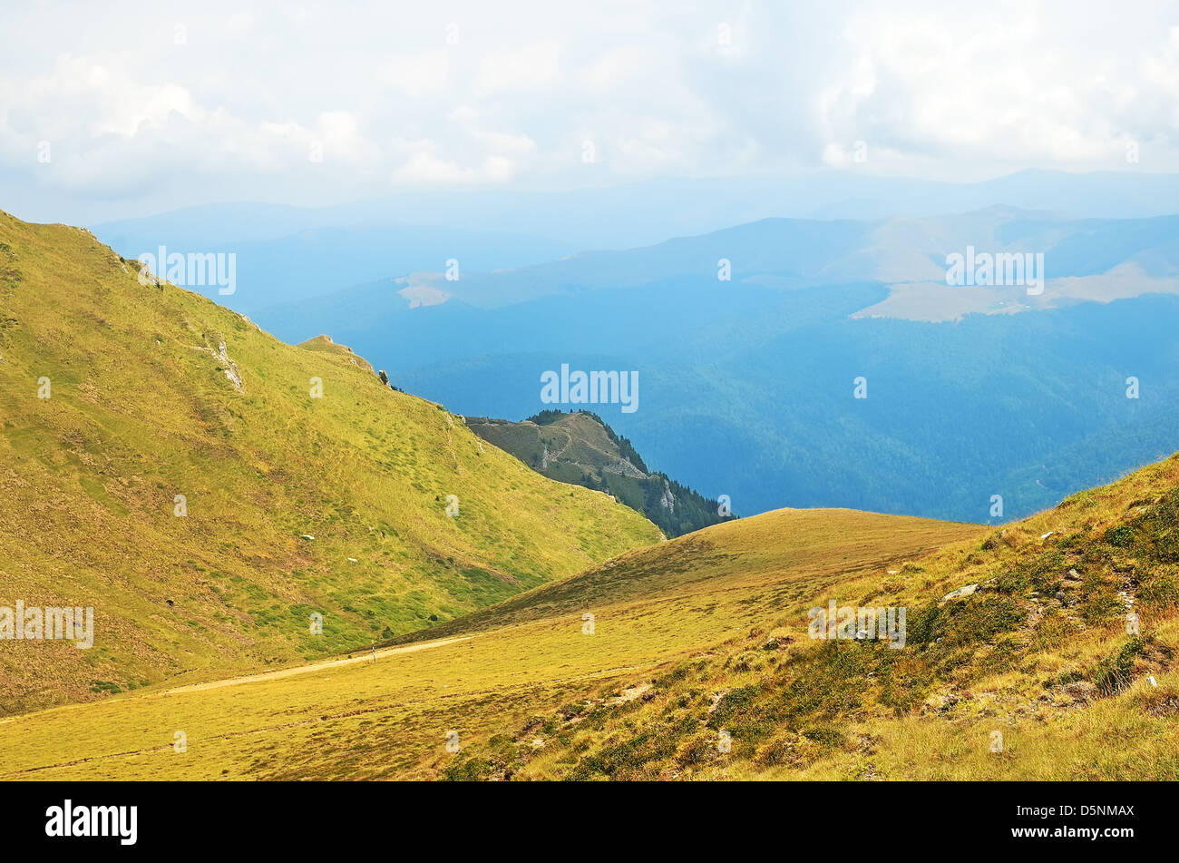 Carpathian Mountains in Transylvania, Romania in a summer Stock Photo ...