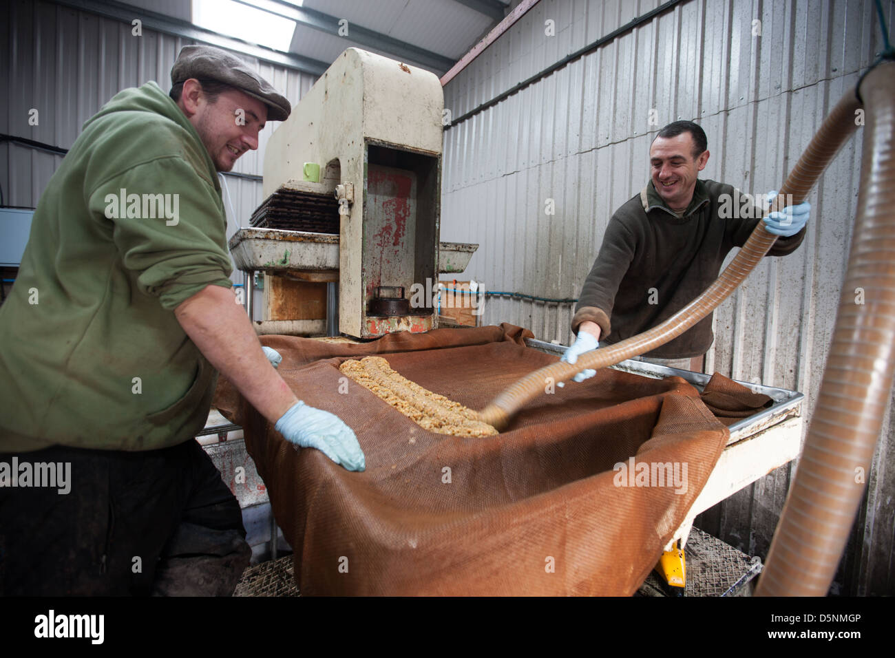 All phases of cider production in the south west UK Stock Photo Alamy