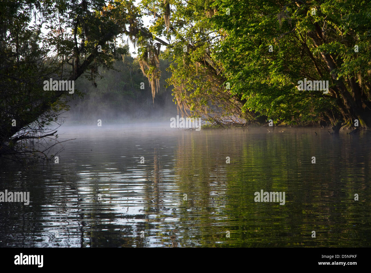 Scenic, St. Johns River, near Deland, FL Stock Photo Alamy
