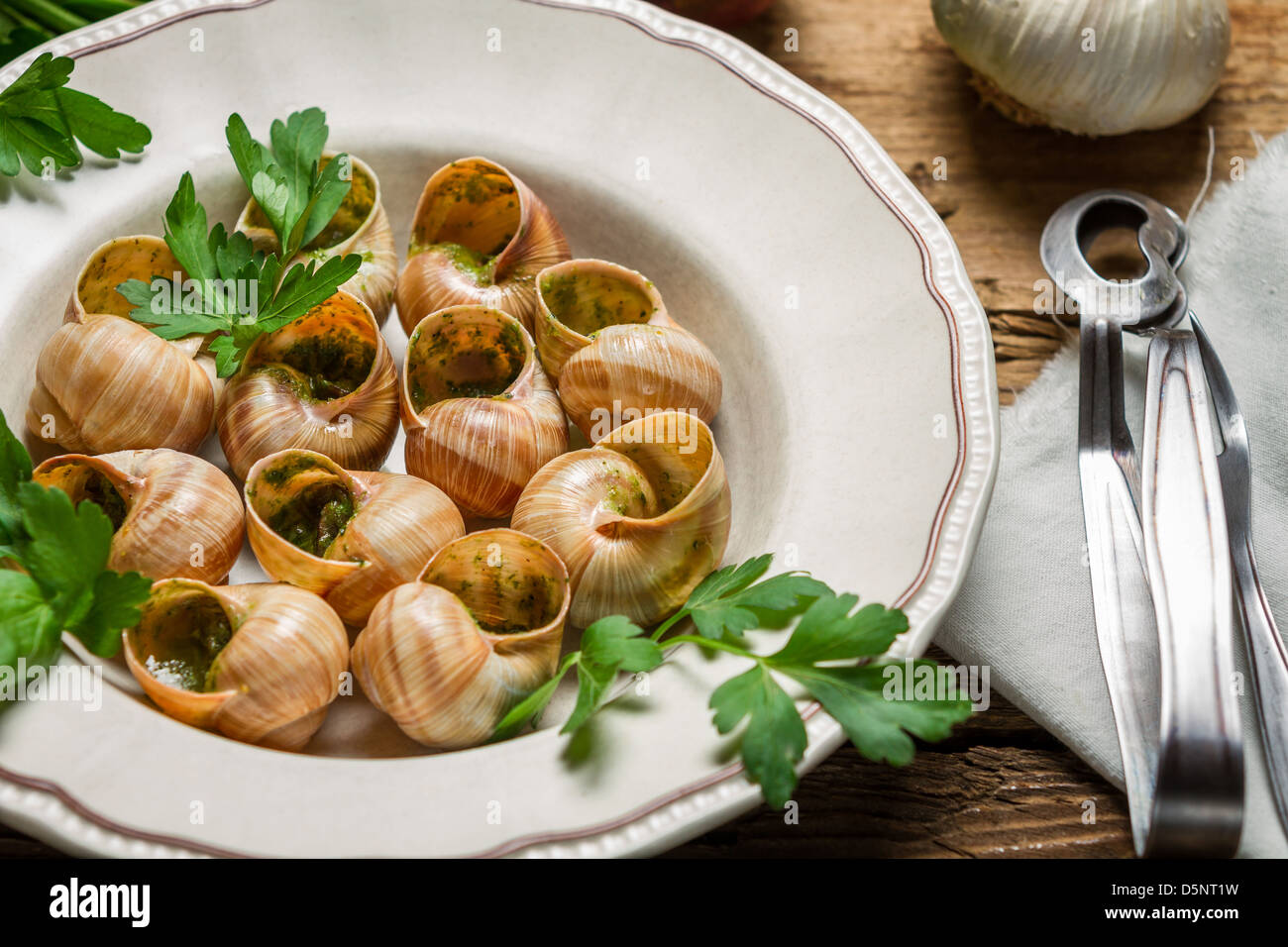 Closeup of snails baked in garlic butter and served with parsley Stock