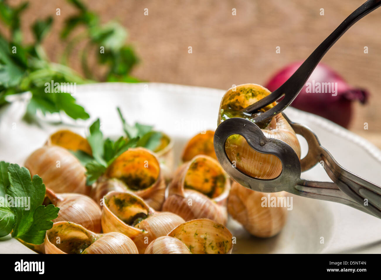 How to consume snails fried in garlic sauce Stock Photo Alamy