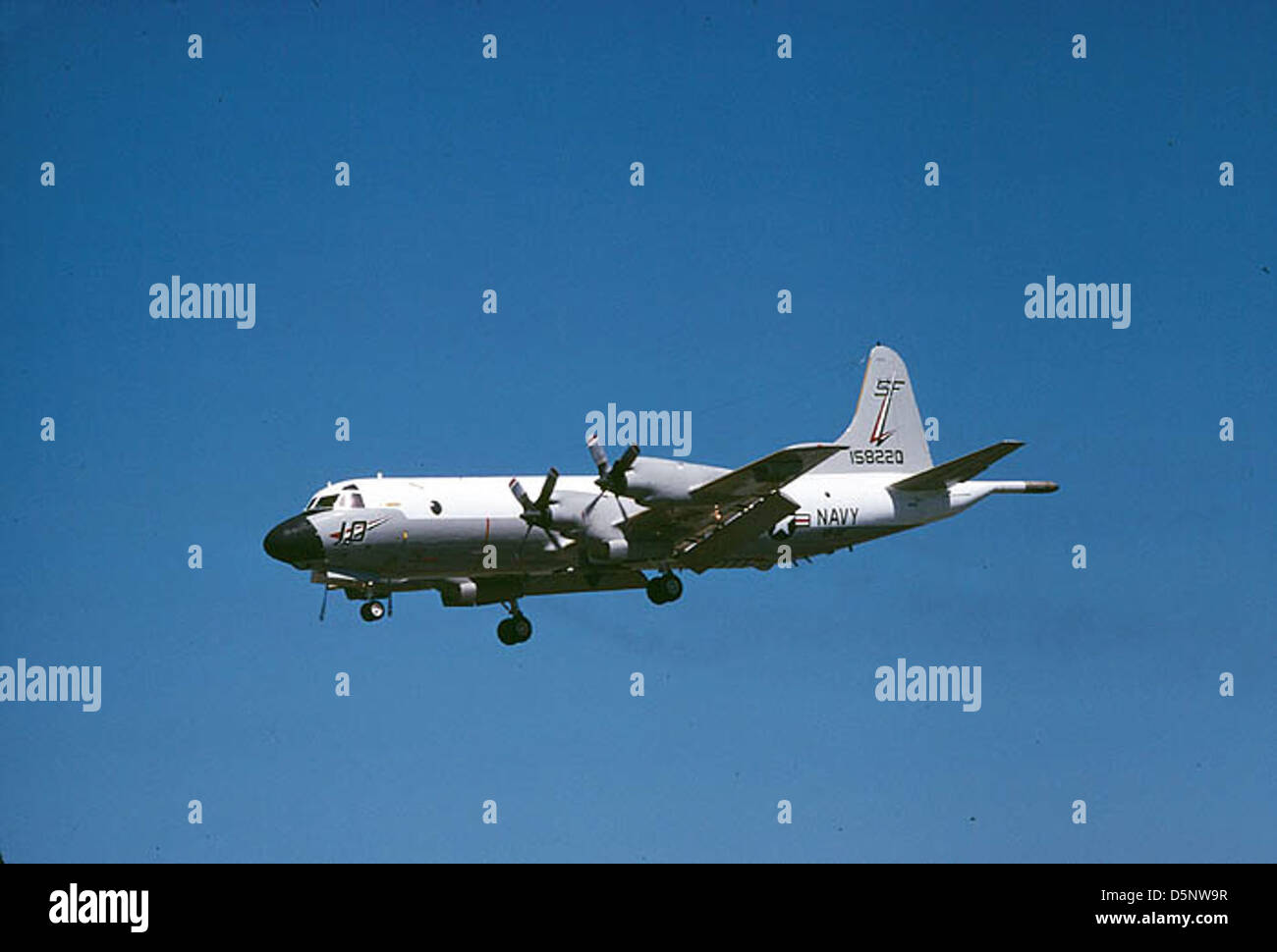 VP48 SF10 WEB Stock Photo Alamy