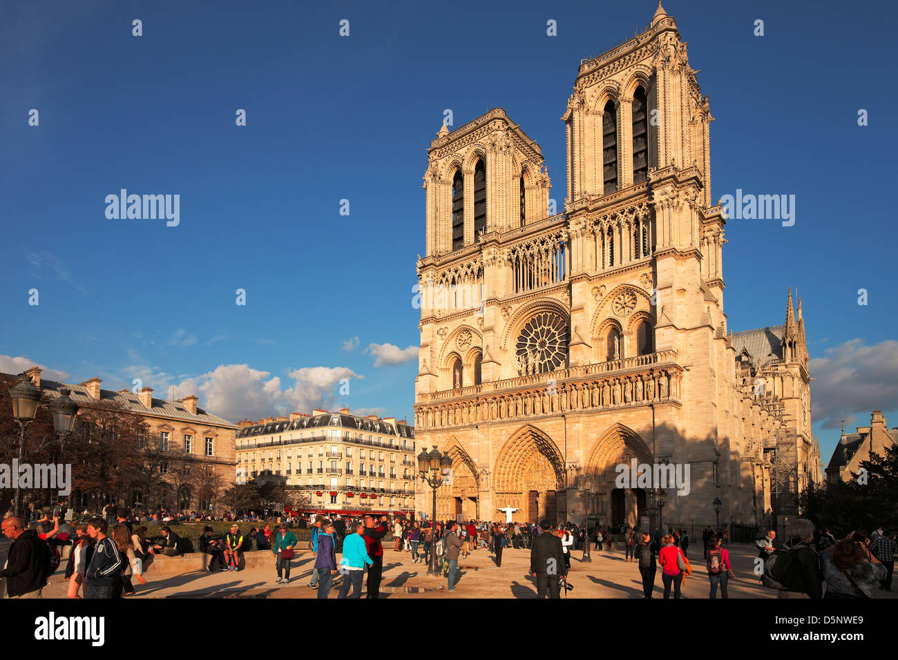 Notre Dame de Paris; La cathédrale Notre-Dame de Paris Stock Photo