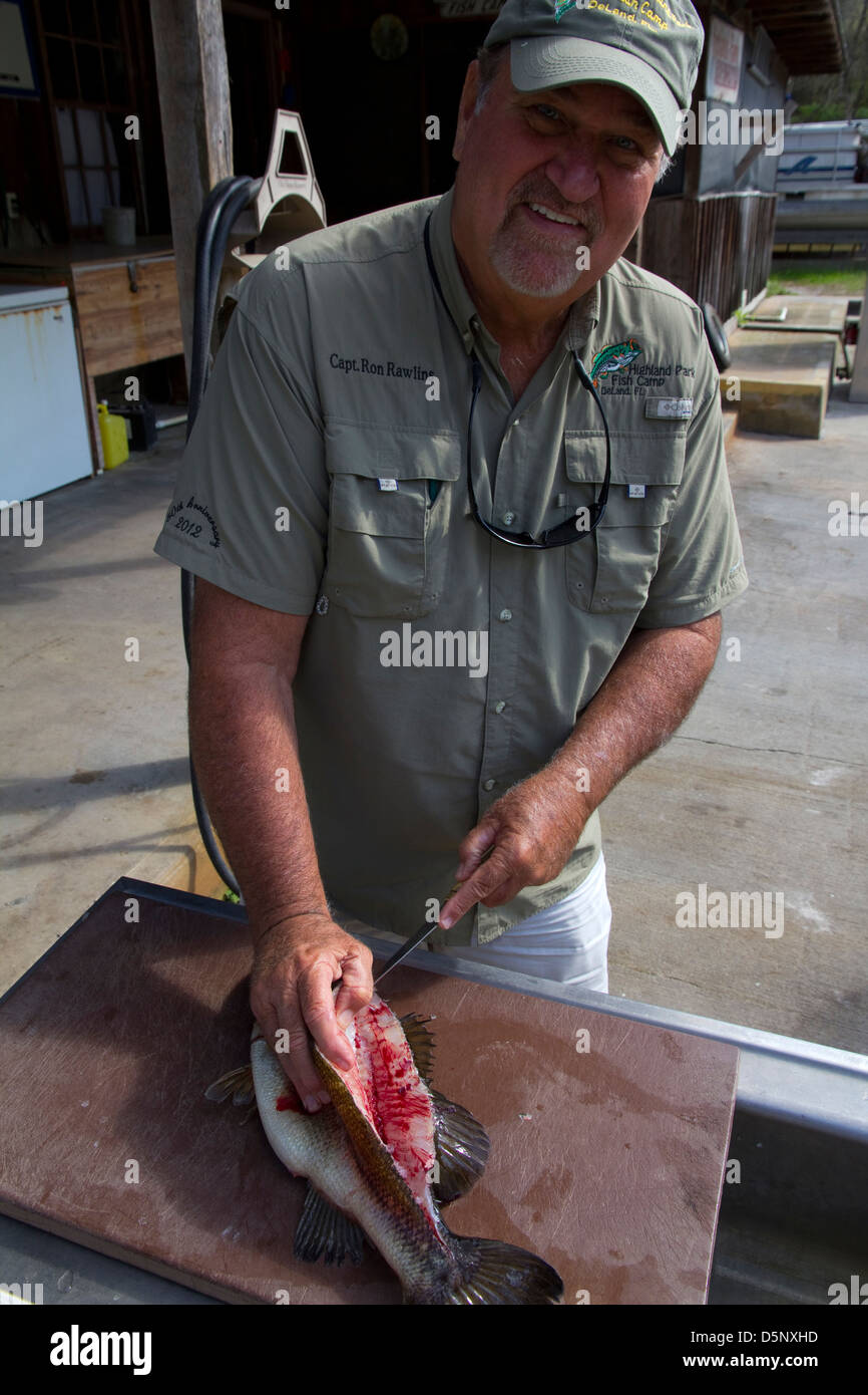 Ron Rawlins dresses out fish, Highland Park Fish Camp, near Deland, FL Stock Photo