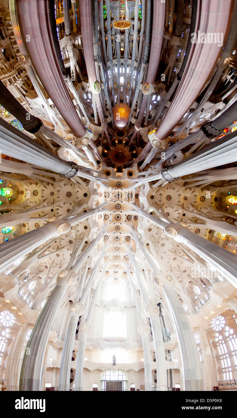 Panorama Of Ceiling At The Basilica I Temple Expiatori De La