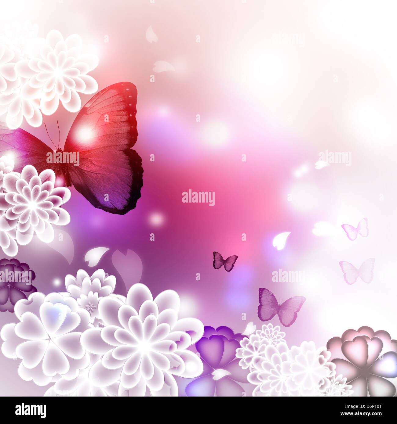 Blossoms and butterflies, pink and purple illustration Stock Photo