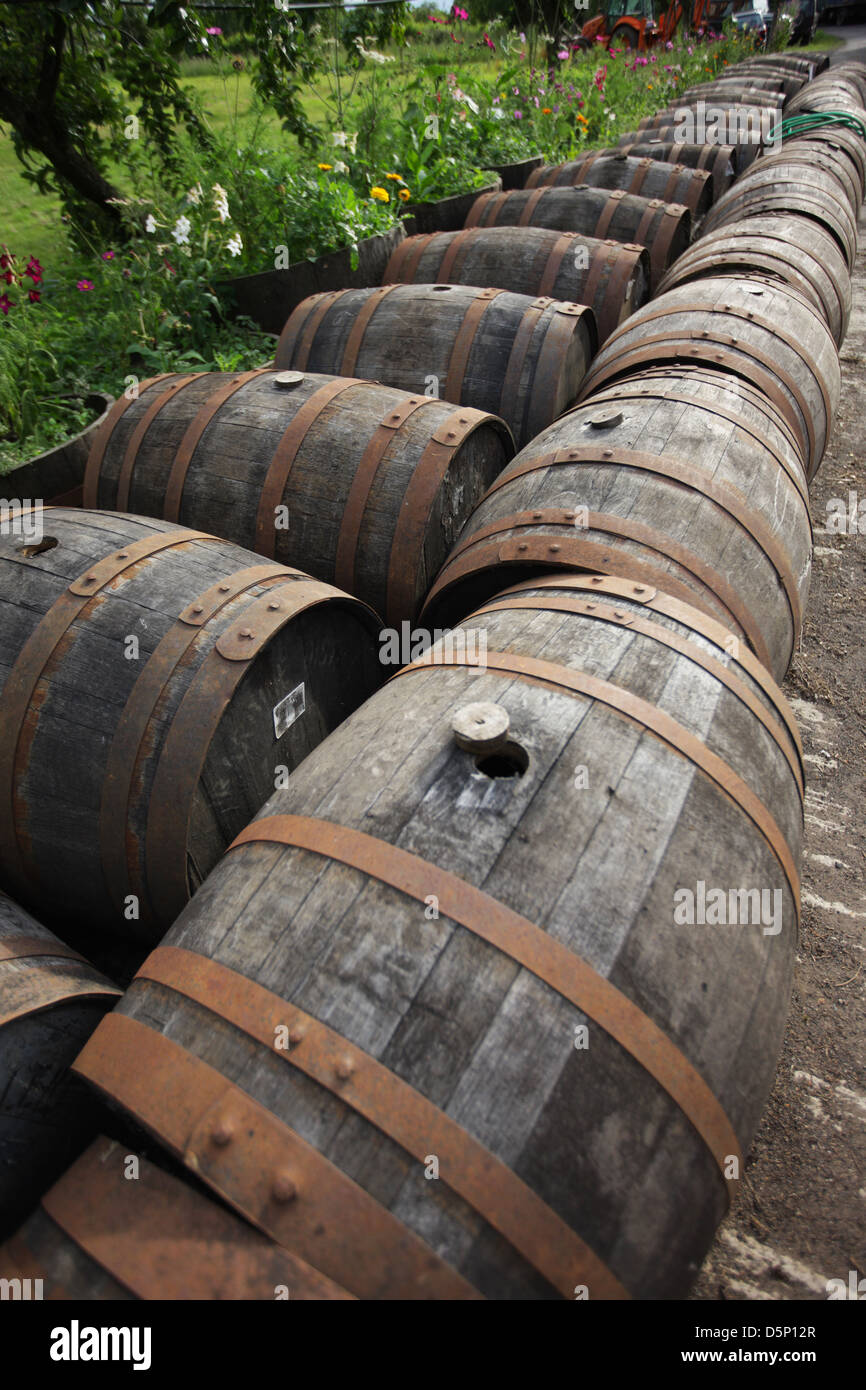 Traditional barrels in the cider yard. All phases of cider production
