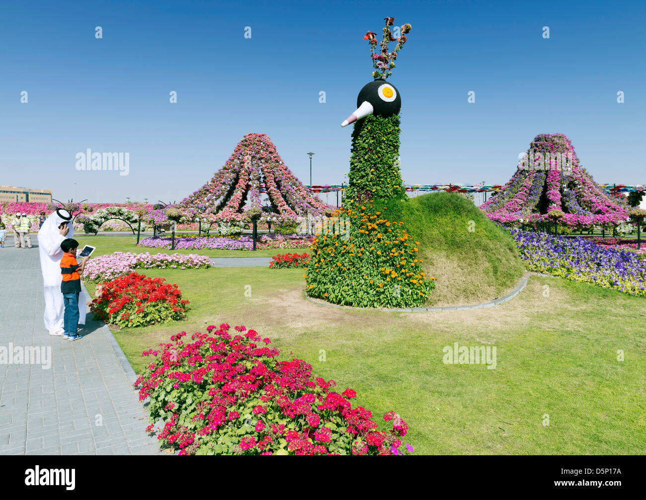 Miracle Garden in Dubai, Opened in March 2013 and claimed to be World's largest flower garden; United Arab Emirates Stock Photo