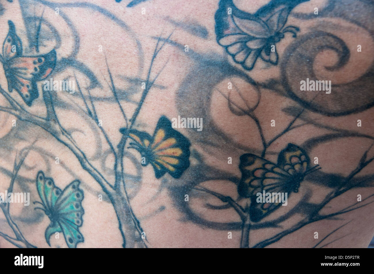 What To Know About The 90s Butterfly Tattoo Trend  Flipboard