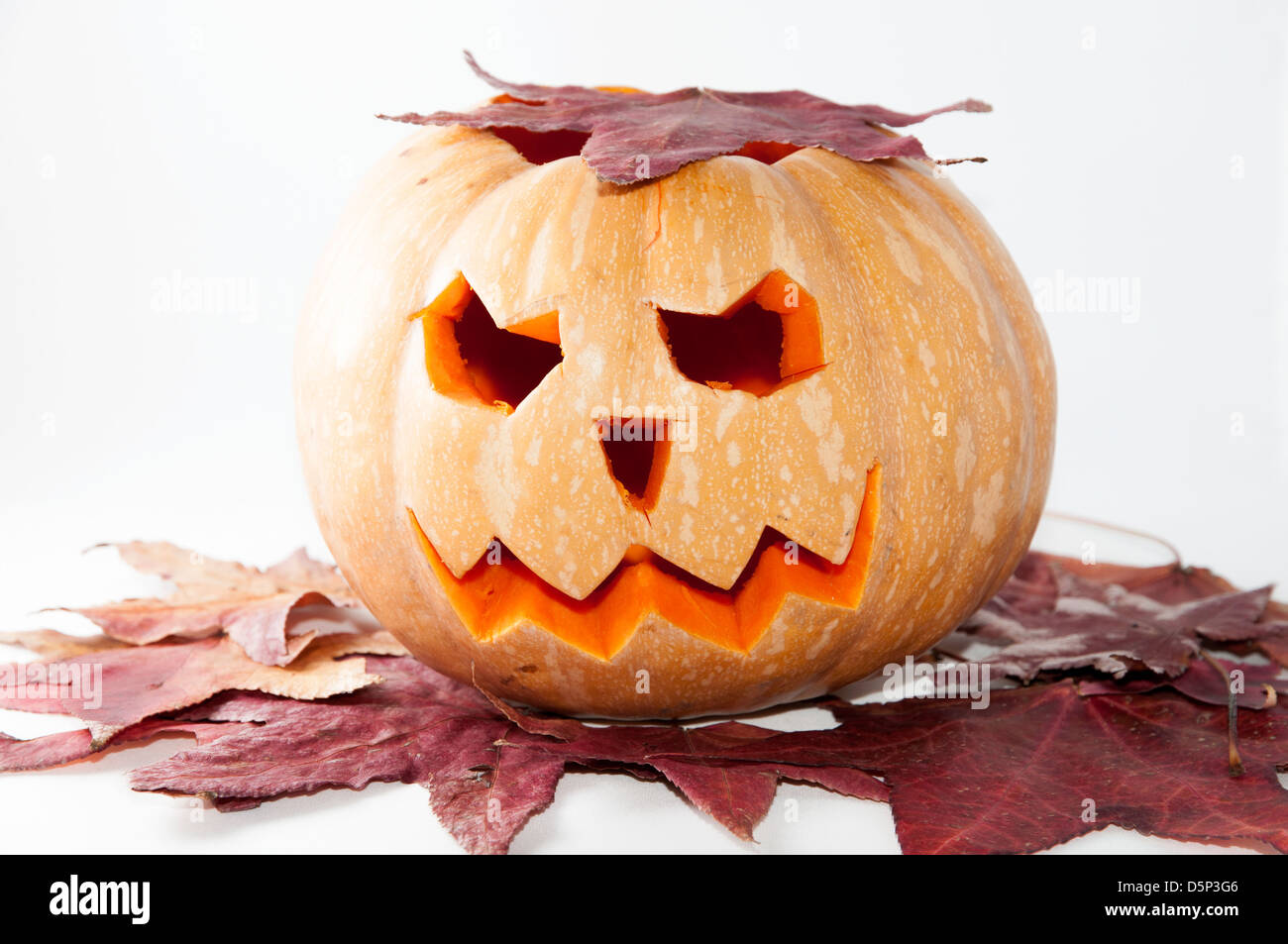 day of the year when we celebrate halloween Stock Photo Alamy