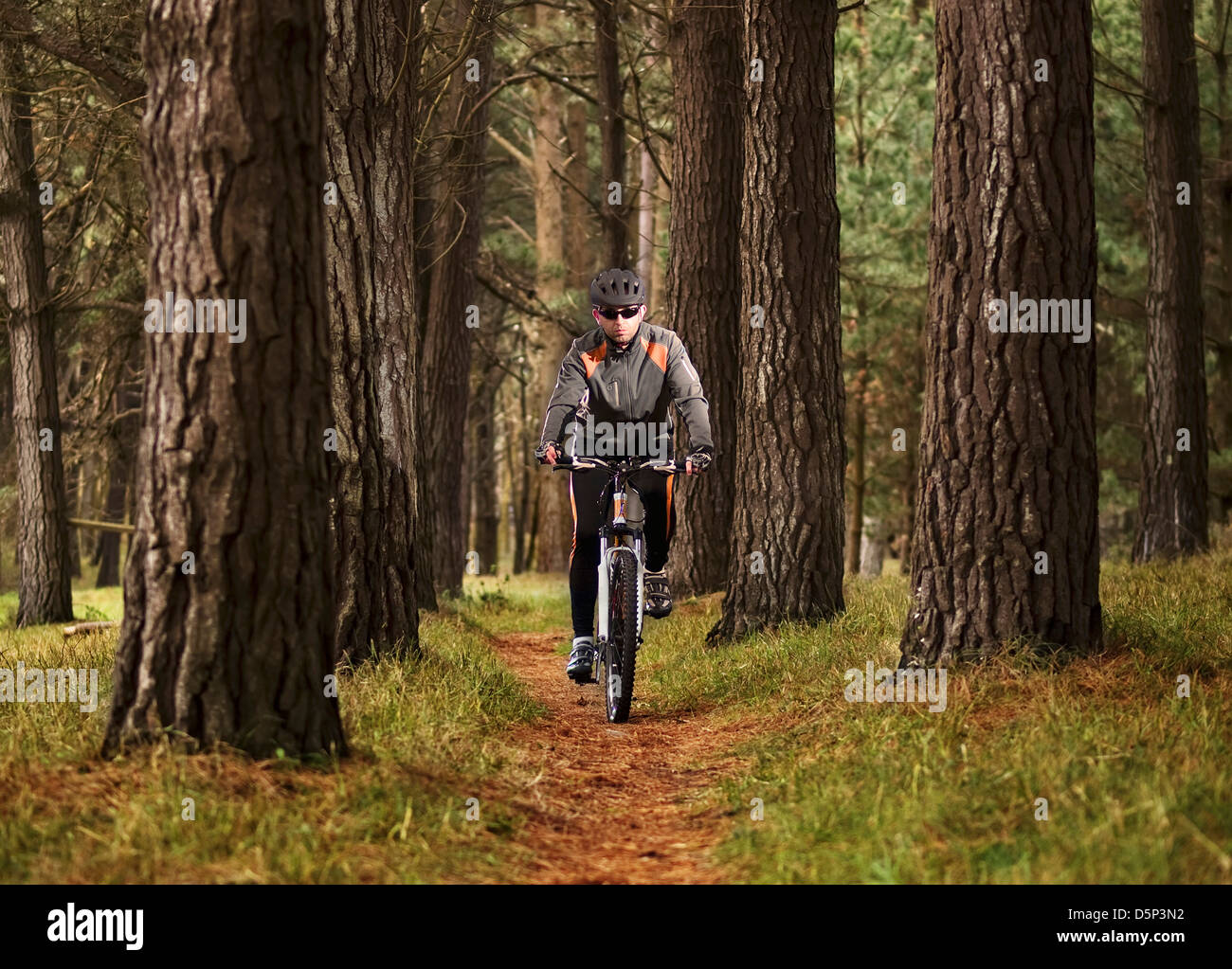 Man practicing mountain biking in the forest looking at the camera Stock Photo